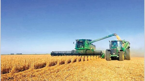 Zafra 2022/2023: Rendimiento de soja es de unos 3.000 kg/h en Alto Paraná - La Clave