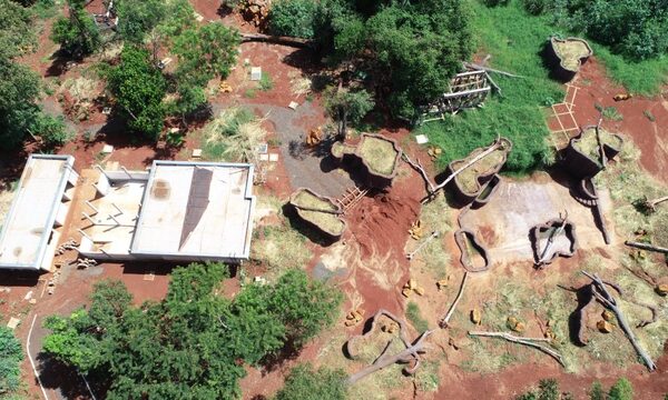 Avanza construcción de nueva zona de exhibición de fauna del Centro Ambiental Tekotopa de Itaipú – Diario TNPRESS