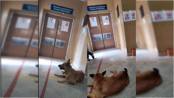 La historia de la "guardiana" de Terapia Intensiva que unió a todo un hospital
