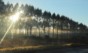 Anuncian viernes caluroso e inestable