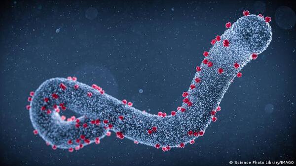 Diario HOY | OMS advierte sobre virus mortífero: teme que se convierta en epidemia a gran escala