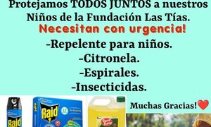 Hogar Las Tías necesita repelentes y productos para ahuyentar mosquitos