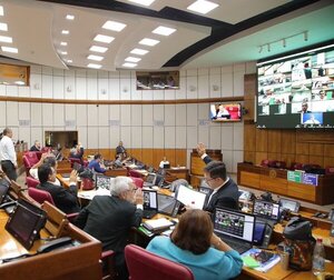 enado rechazó proyecto que modifica plan de manejo de médanos del Chaco - El Trueno