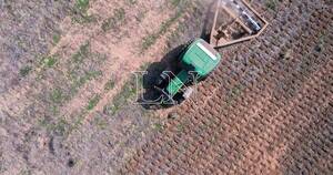 La Nación / BCP emite normativa de medidas transitorias dirigidas al sector agropecuario