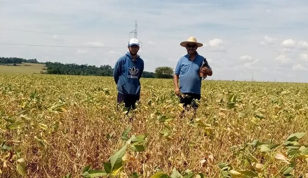 Medidas del BCP son para apoyo al sector productivo por sequía - Economía - ABC Color