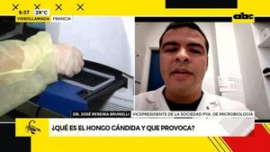 Video: ¿Qué es el hongo candida auris? - ABC Noticias - ABC Color