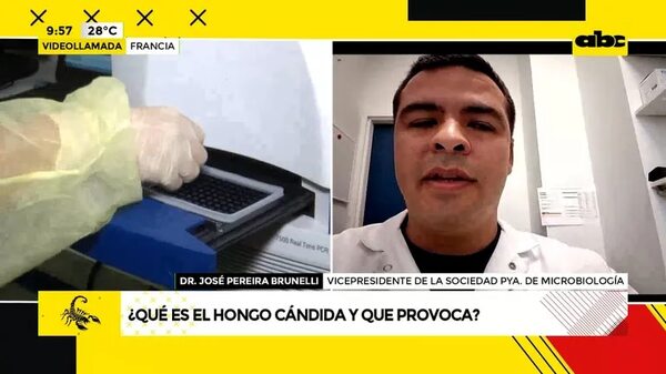 Video: ¿Qué es el hongo candida auris? - ABC Noticias - ABC Color
