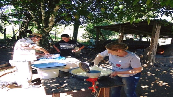 Temen que cuadros de chikungunya se propaguen en el interior en Semana Santa - Noticias Paraguay