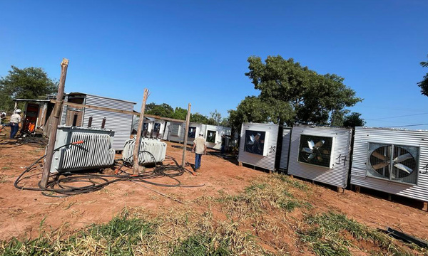 Alto Paraná: ANDE interviene local de minería de criptomonedas en una granja avícola - OviedoPress