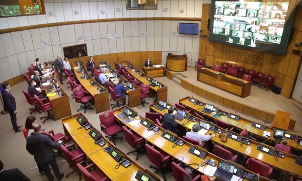 La Cámara Alta aprobó la declaración de emergencia nacional para varios departamentos