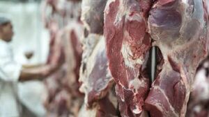 Mercado de EEUU para carne paraguaya a un paso de ser realidad