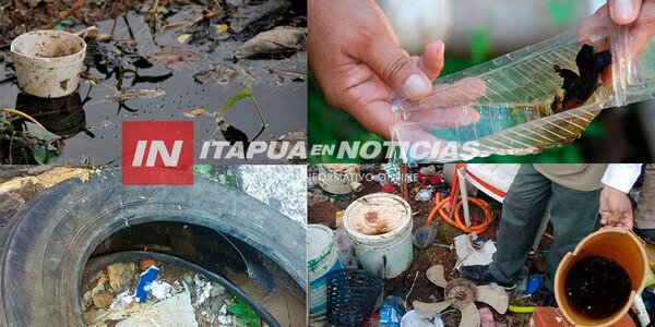 CASOS POSITIVOS DE ARBOVIRUS CRECEN EN EL DEPARTAMENTO DE ITAPÚA  - Itapúa Noticias