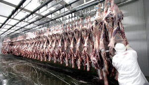 USDA pronostica menor producción de carne argentina en 2023