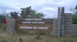 Médanos del Chaco: proyecto para explotación de hidrocarburos se volvería a presentar, según impulsor - Política - ABC Color