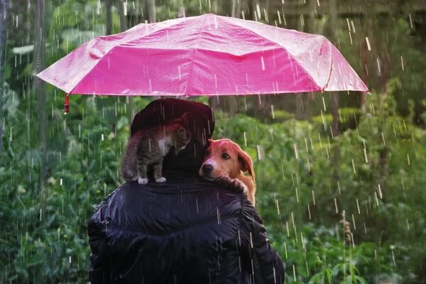 Lluvias y ocasionales tormentas para el fin de semana - Clima - ABC Color