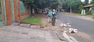Minga para frenar impacto de chikunguña en Lambaré - Nacionales - ABC Color