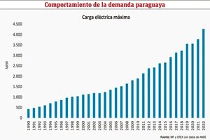 Producción, demanda y perspectivas del sector energético - Económico - ABC Color
