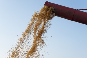 Cosecha de soja de Brasil alcanzaría 155 millones de toneladas en zafra