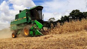 Se cierra campaña  de la soja con buena cosecha  y fluida exportación