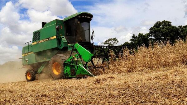 Se cierra campaña  de la soja con buena cosecha  y fluida exportación