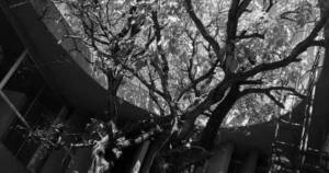 La Nación / Arquitectura, poesía y “la casa sin terminar”