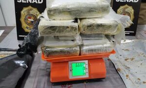(VIDEO) Perro de la SENAD “olió” algo y desbarató tráfico de cocaína