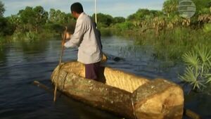 Inundación en el Chaco: El drama de los indígenas para conseguir víveres