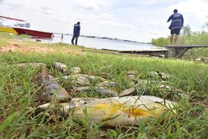 Mades dice que realizará toma de muestras por mortandad de peces en Bahía de Asunción - Nacionales - ABC Color