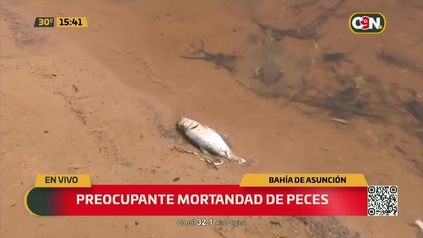 Preocupante mortandad de peces - C9N