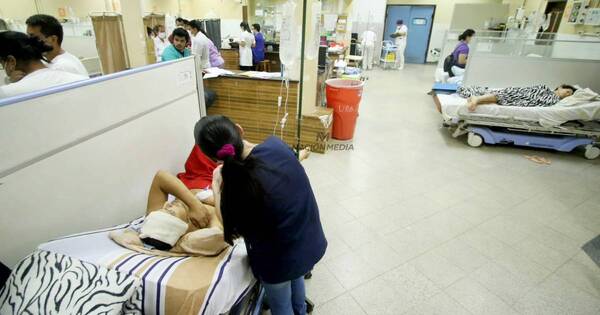La Nación / Candida auris: el “hongo asesino” que se propaga en hospitales