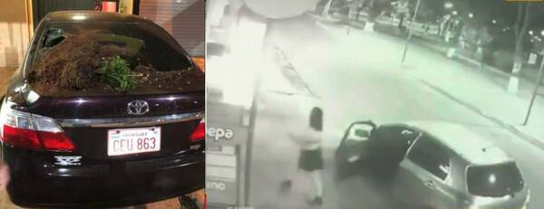 “Histérica” por los celos, se fue a reventar a “planterazos” el auto de su “rival”