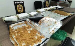 Una mujer intentó traficar cocaína escondida en maní ku’i •