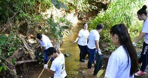 La Nación / En Hernandarias, voluntarios limpiaron el arroyo Hu´i Rupa y sacaron residuos por toneladas