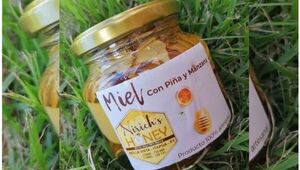 En Bella Vista aumenta la dulzura: Nirich´s Honey incrementa 20% venta anual de miel de abeja