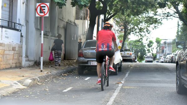 Bicisendas: Polémico camino que refleja falencias e improvisación