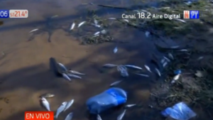 Preocupante mortandad de peces en la Costanera de Asunción - Noticias Paraguay