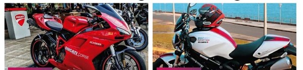 Las compañías de seguros deben dar sosiego en medio de la angustia y la inseguridad - PDS RADIO Y TV