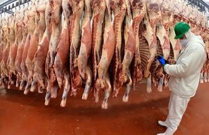 EE.UU. abrió consultas públicas sobre importación de carne paraguaya - Nacionales - ABC Color