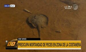 Preocupa mortandad de peces en la Costanera de Asunción | Telefuturo