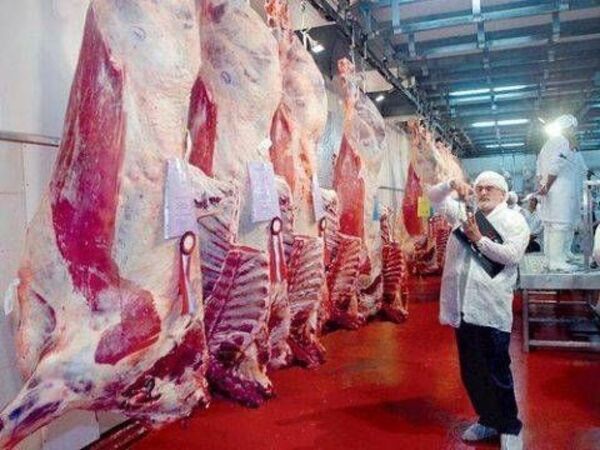 Carne paraguaya cerca de Estados Unidos y Canadá