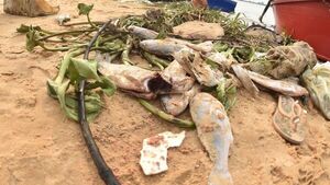 Recomiendan no consumir peces muertos en la Bahía de Asunción