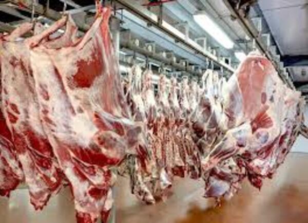 Carne paraguaya cerca de Estados Unidos y Canadá