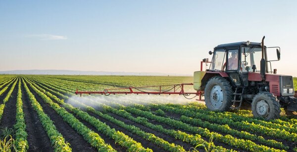 Agricultura es el sector que más creció en el cuarto trimestre del 2022