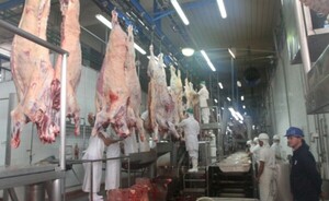 Paraguay apunta a abrir mercados de EE.UU y Canadá para la carne
