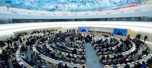 Las sanciones de Estados Unidos violan el derecho a la presunción de inocencia, dice experta en derechos humanos de la ONU - El Trueno