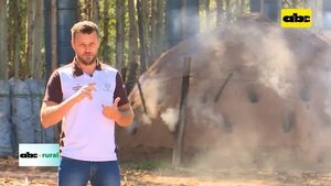 Video: Producción de carbón en forma sustentable - ABC Rural - ABC Color