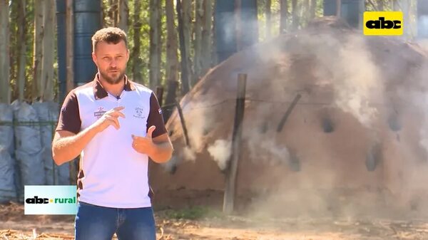 Video: Producción de carbón en forma sustentable - ABC Rural - ABC Color