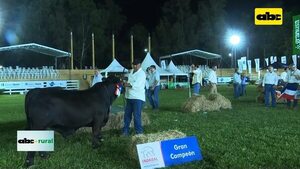 Video: Aso de Brangus con cargada agenda por su 40 aniversario  - ABC Rural - ABC Color