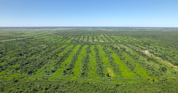 El Chaco paraguayo destaca por su potencial productivo y atrae inversores