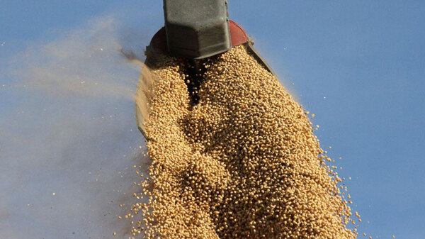 Molienda de oleaginosas registró una caída del 43% al cierre del primer bimestre | Agronegocios | 5Días